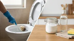 酢でトイレを掃除するのは驚くほど簡単です：何年も溜まった汚れさえも、驚くほど簡単に「落ちる」のです