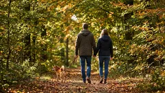 8,000歩でも足りない？健康に効くのは「15分以上の連続ウォーキング」だった