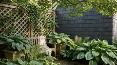 日陰でも家庭菜園はできる 半日陰で育つ野菜とベリーの選び方